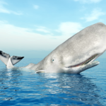 nomadisme-cachalot-lecafedufle