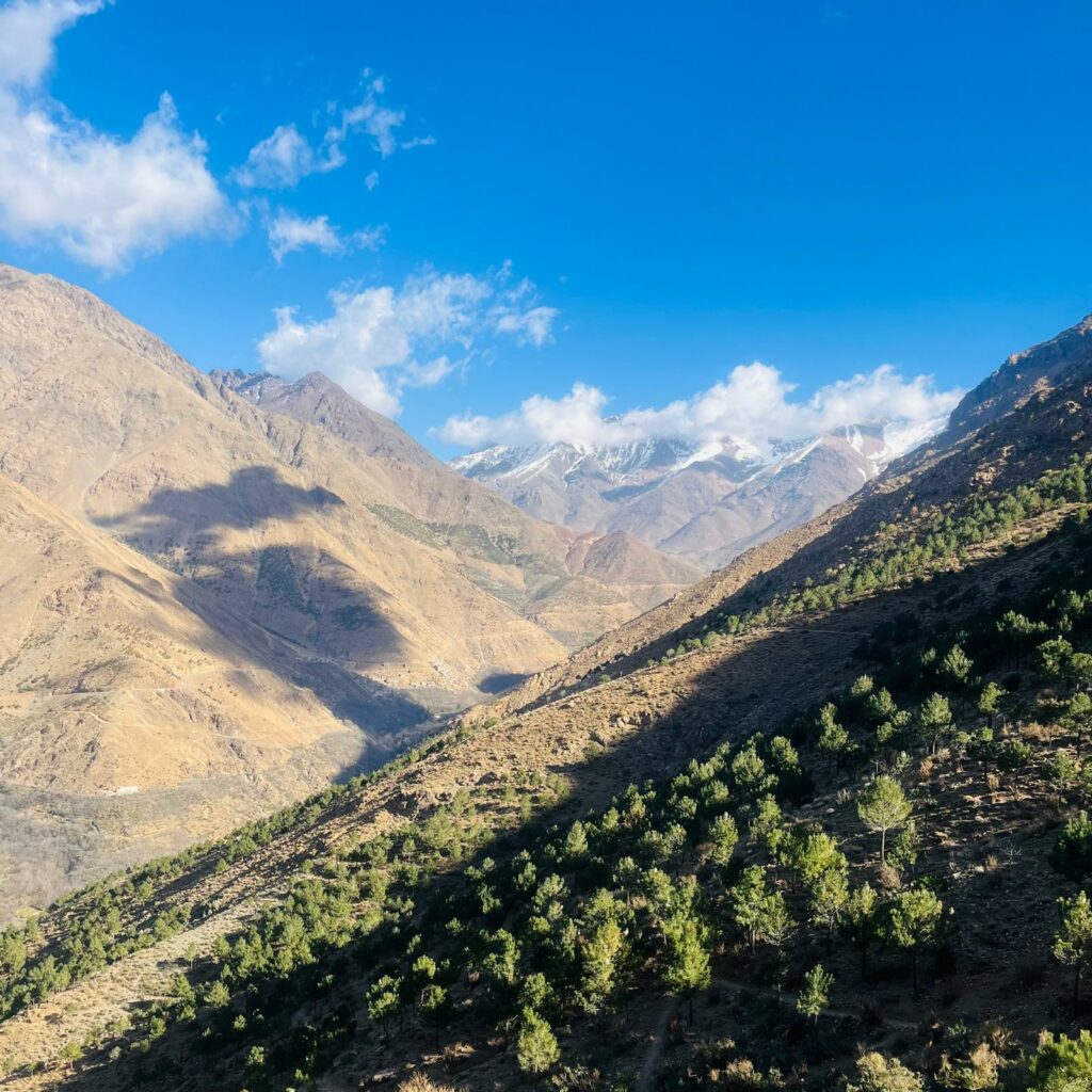 aut-atlas-montagnes-cafe-du-fle